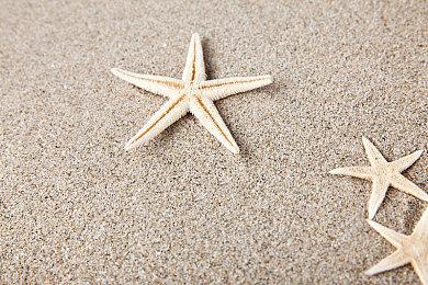 《圣剑传说：玛那视界》制作人小泽健司成立新工作室